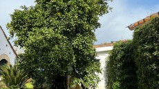 817141369_17.jpg